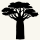  baobab