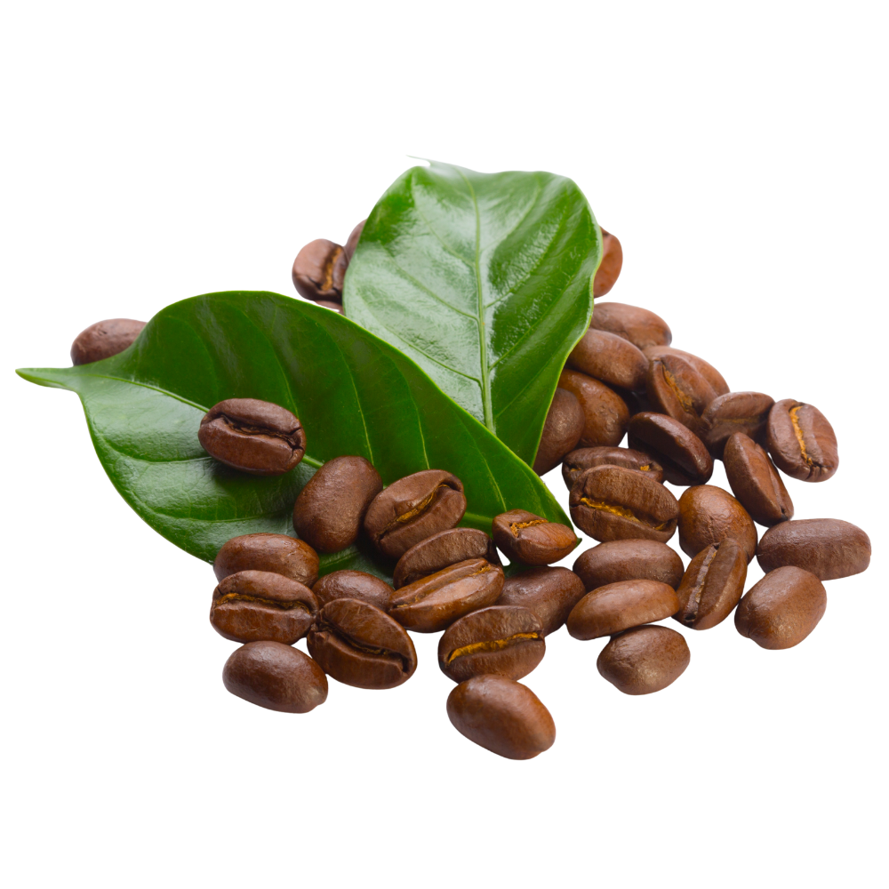 TANZANA Coffee Gold Premium – zrnková káva z Afriky