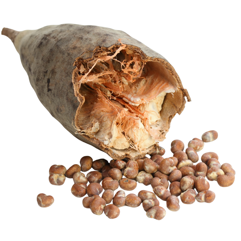 Mandle v mléčné čokoládě s baobabem – TANZANA