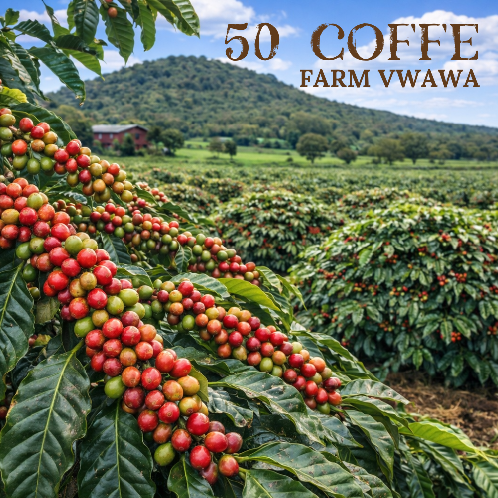 COFFEEFARM50 - Kód střediska: TZxxCFVW25