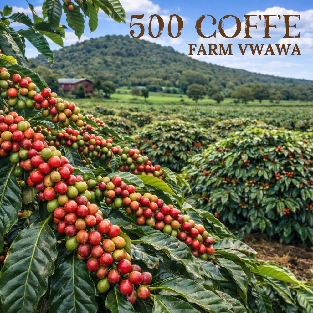 COFFEEFARM500 - Kód střediska: TZxxCFVW25